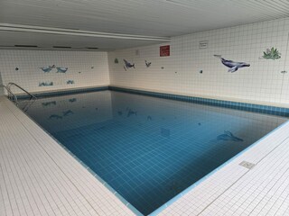 Holiday apartment Unterkirnach Swimming Pool 14
