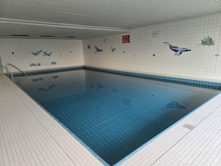 Holiday apartment Unterkirnach Swimming Pool 13
