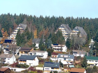 Holiday apartment Unterkirnach  15