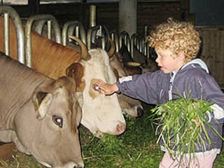 Fattoria Olang Ambiente 15