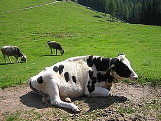 Bauernhof Olang  18