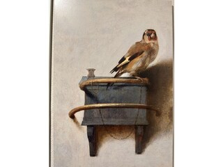 Appartamento per vacanze Groet Caratteristiche 13