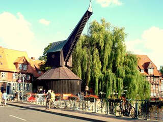 Holiday apartment Lüneburg Environment 19