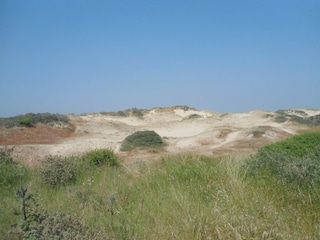Ferienhaus Montmartin sur Mer Umgebung 14