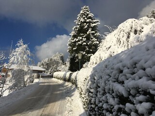 Chalet Neukirchen am Großvenediger Ambiente 20