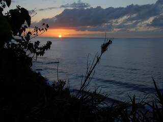 Tenuta San Juan de la Rambla Ambiente 29