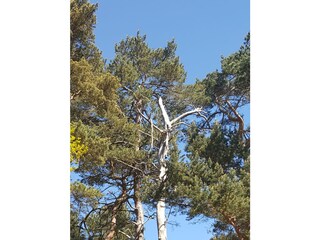 Blauer Himmel über Glowe