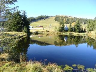 Teich in der Nähe des Hauses