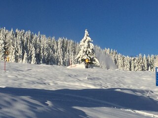 Appartamento per vacanze Hochkrimml Ambiente 27