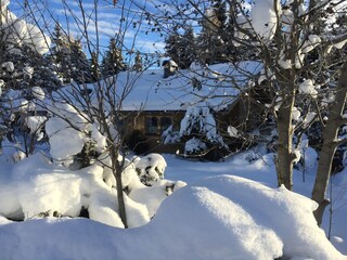 Appartamento per vacanze Hochkrimml Registrazione all'aperto 3