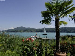 Apartment Keutschach am See Umgebung 39