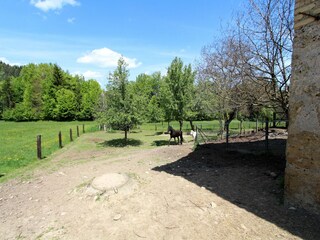 Appartamento Keutschach am See  40