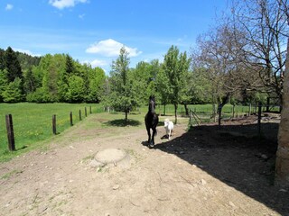 Apartamento Keutschach am See Entorno 38