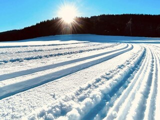 Vom Hof direkt auf die Langlauf-Loipe.
