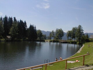 Appartamento per vacanze Seckau Ambiente 25