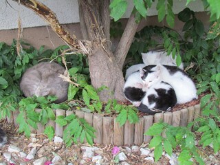 Vakantieappartement Seckau Buitenaudio-opname 5