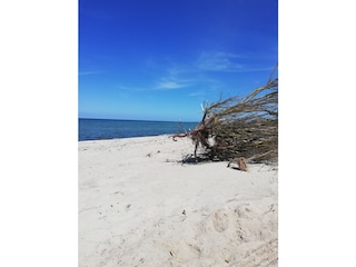 Naturstrand in Warnkenhagen .