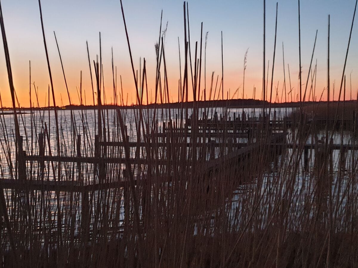 Abendstimmung am Boddenhafen