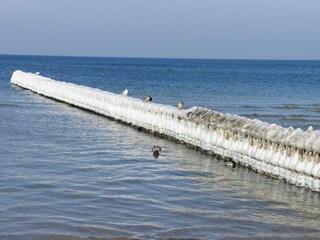 Zingst im Winter