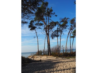 Weststrand