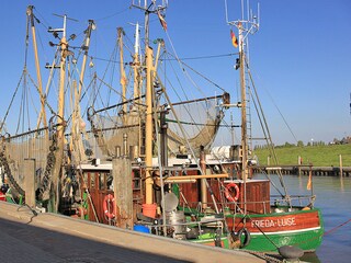 Krabbenkutter im Hafen von Greetsiel