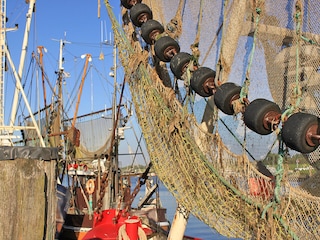 Krabbenkutternetze im Hafen von Greetsiel