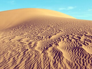 Appartamento per vacanze Callantsoog Ambiente 11