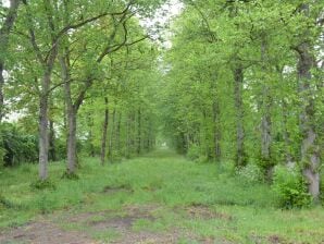 Casa de vacaciones Magnífica casa con jardín en Serinchamps - Marcha de la fama - image1