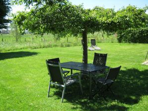 Gemütliche Wohnung in Born mit Terrasse und Garten