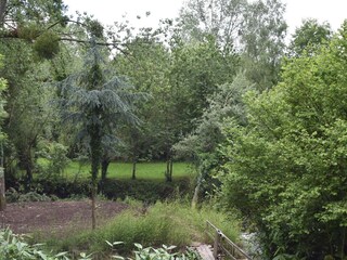 Ferienhaus Yvias Außenaufnahme 5