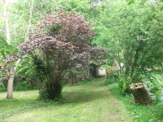 Ferienhaus Yvias Außenaufnahme 4