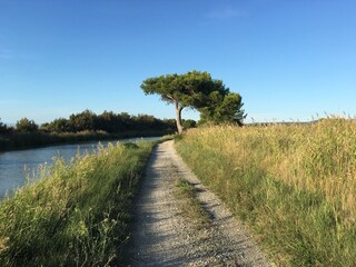 Casa per le vacanze Gruissan Ambiente 19