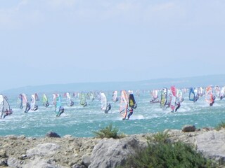 Casa per le vacanze Gruissan Ambiente 24