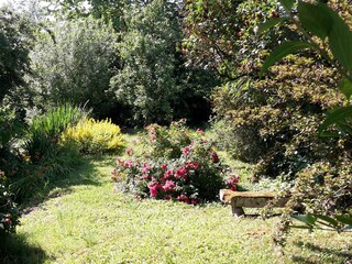 Apartamento de vacaciones Niederhorbach Grabación al aire libre 8