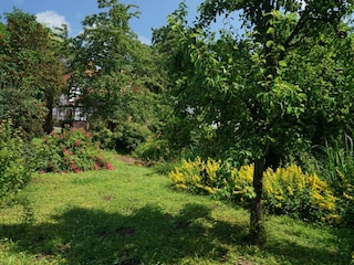 Appartement de vacances Niederhorbach Enregistrement extérieur 9