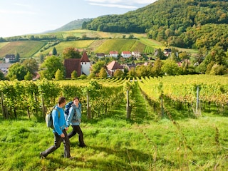 Ferienwohnung Niederhorbach Umgebung 22