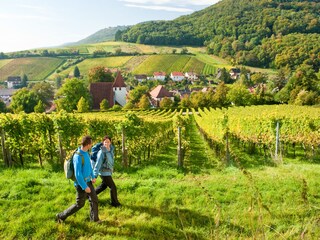Vakantieappartement Niederhorbach Omgeving 22