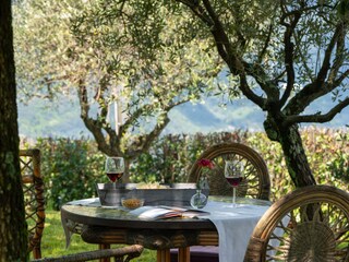 Villa Camaiore Buitenaudio-opname 8