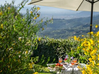 Villa Camaiore Outdoor Recording 10