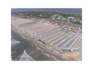 Villa Camaiore Ambiente 32