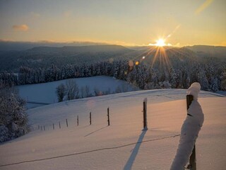 Vakantiehuis Mühlenbach Omgeving 19