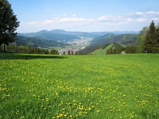Ferienhaus Mühlenbach Umgebung 34