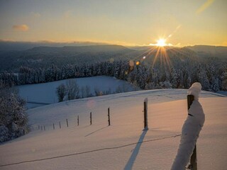 Ferienhaus Mühlenbach Umgebung 21