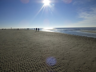 Nord- und Ostsee erwarten Sie für Tagestouren