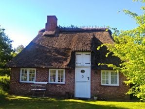 Ferienhaus Wittlandhuus - Hattstedt - image1