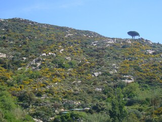 Appartamento per vacanze Seccheto Ambiente 18