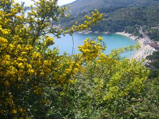 Appartamento per vacanze Seccheto Ambiente 19