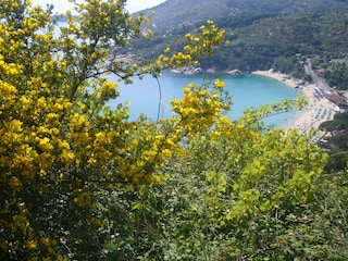 Cavoli Strand