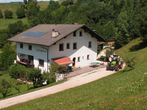 Holiday apartment Tschafon in Trafisölerhof