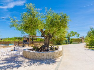 Villa Montuiri Ambiente 42